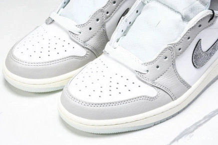 Low 1 AIR JORDAN 1207